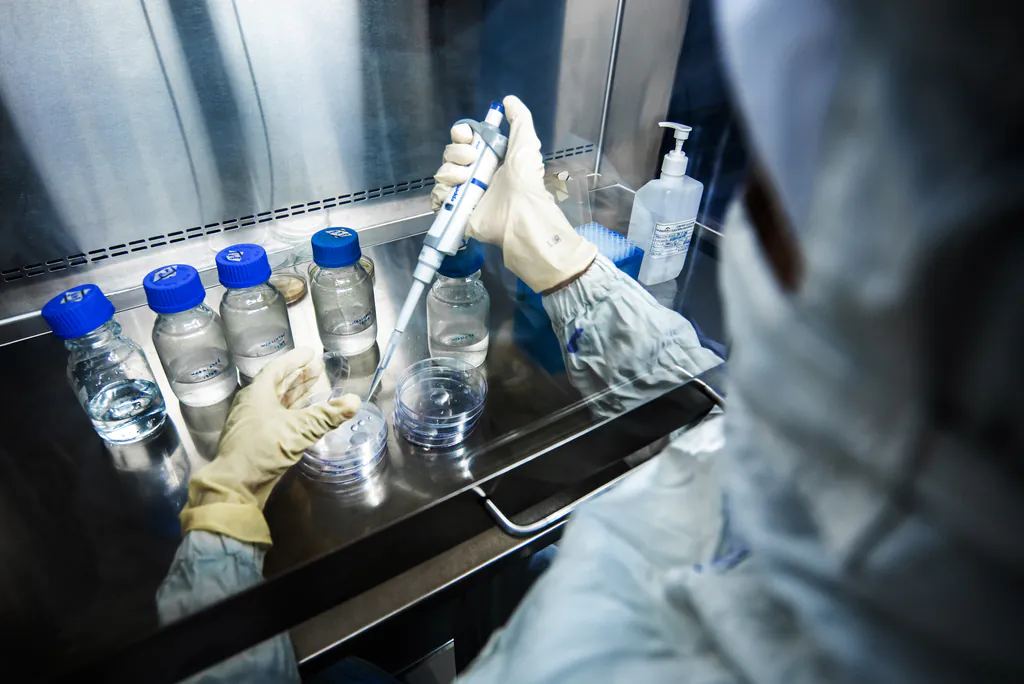 Technician in a gown and gloves pipetting into glass bottles inside a laminar-flow hood